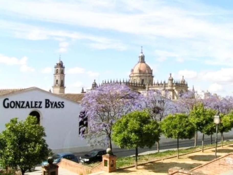 Appartamento Apartamento Loft Jerez Buleria Jerez de la Frontera Esterno foto